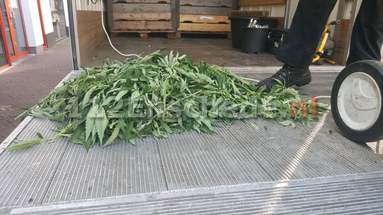 Hennepkwekerij opgerold in centrum van Enschede