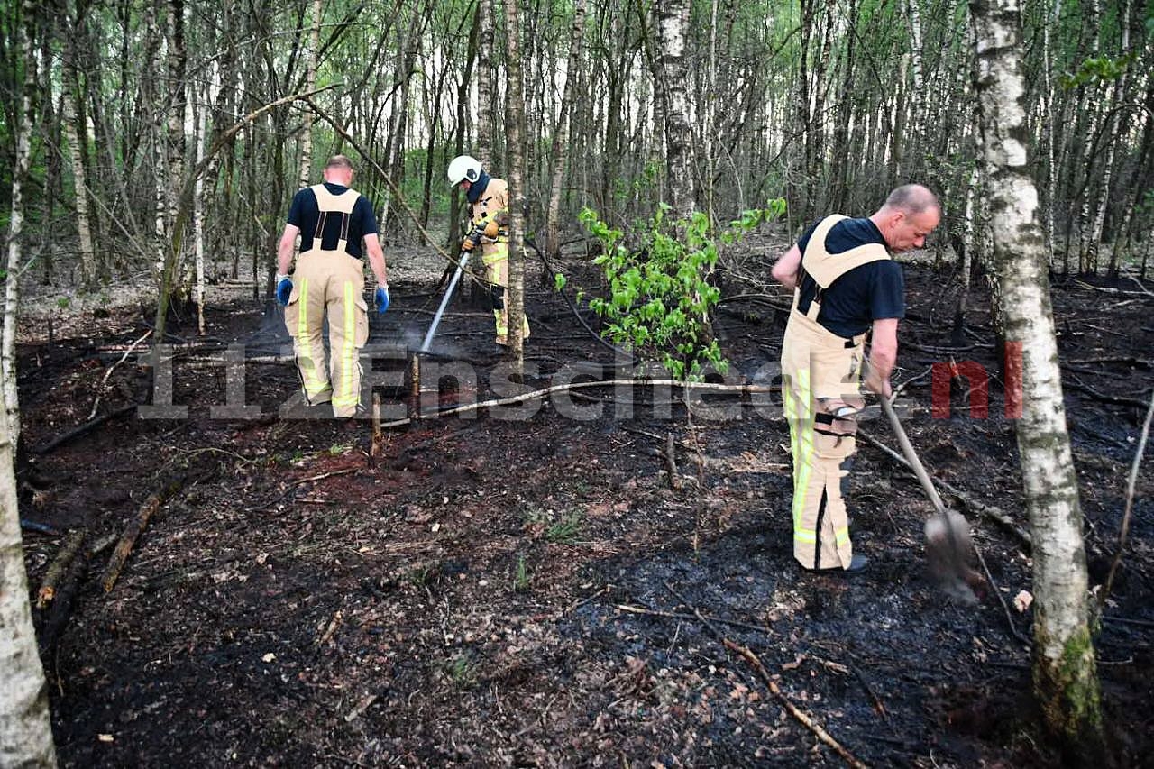Brandweer blust brand in bos ten zuiden van Enschede