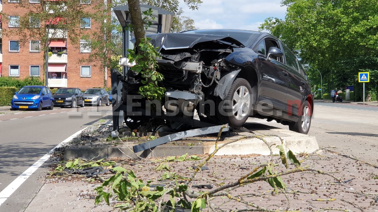 Automobiliste ramt bushokje en boom in Enschede
