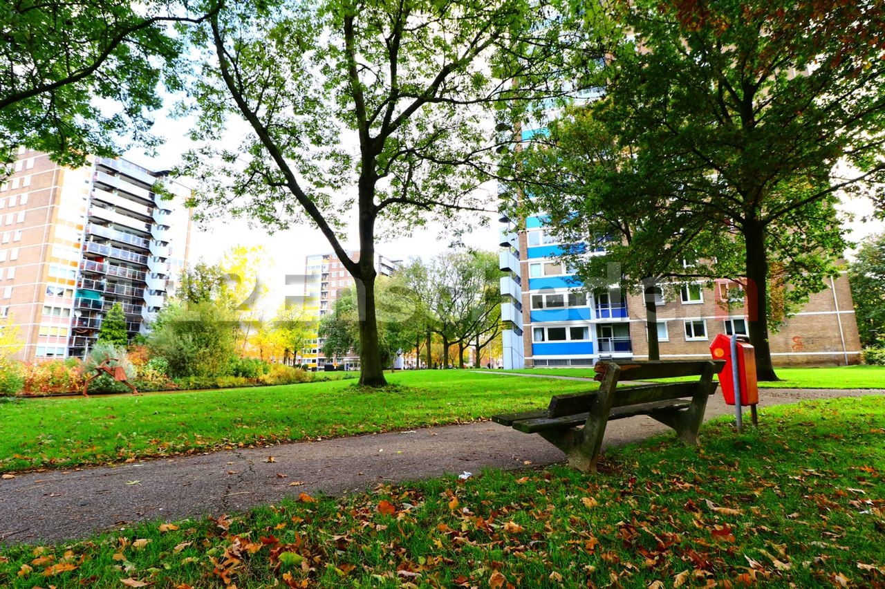 Politie onderzoekt schennispleging in parkje in Enschede