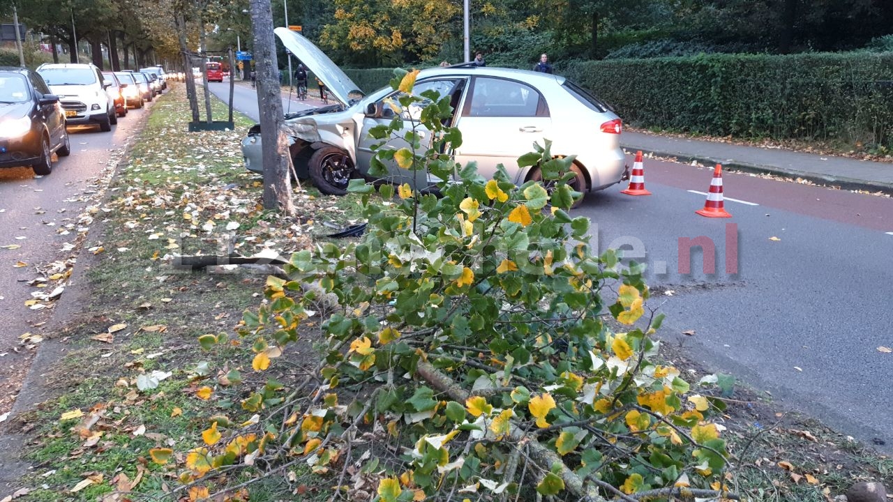 VIDEO: Auto botst op boom singel in Enschede, verkeer in omgeving ondervindt hinder