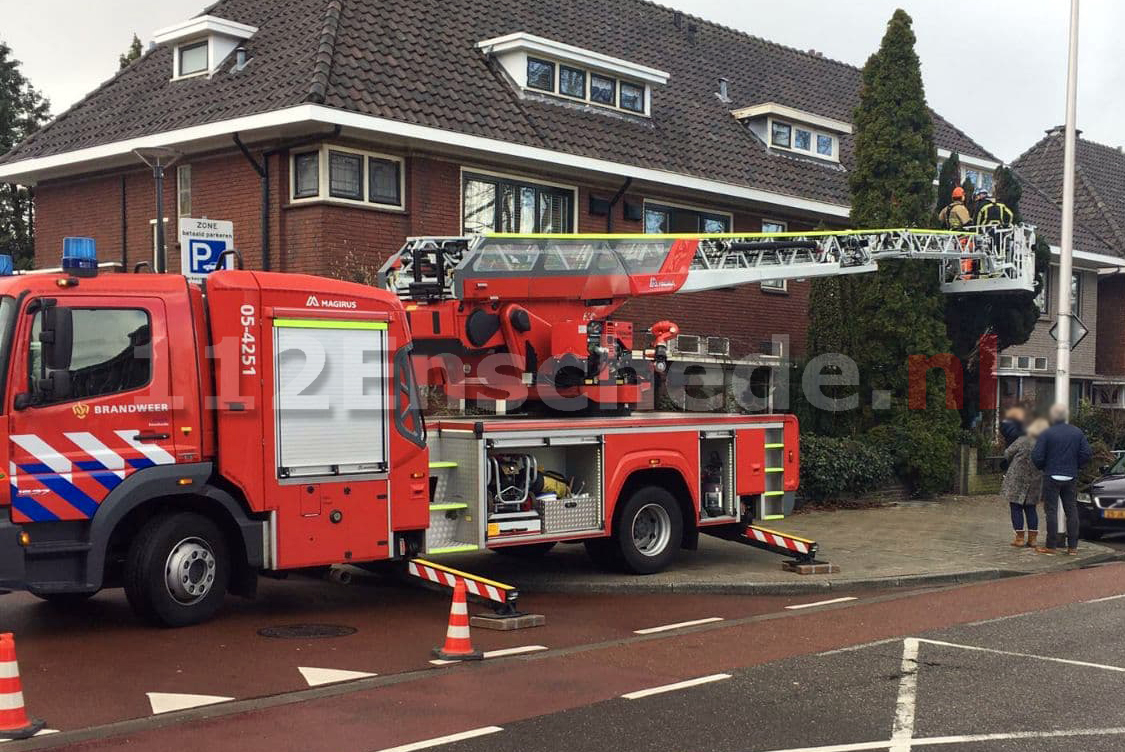 Brandweer verwijdert delen van bomen in Enschede