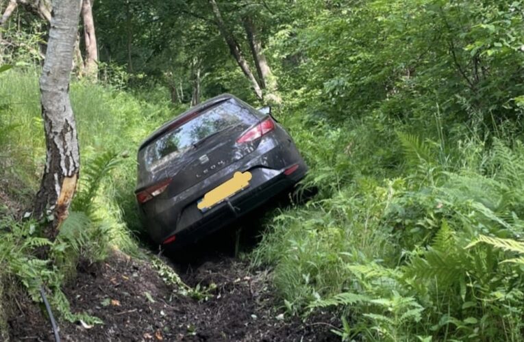 Dronken automobilist raakt van de weg en overnacht in de sloot
