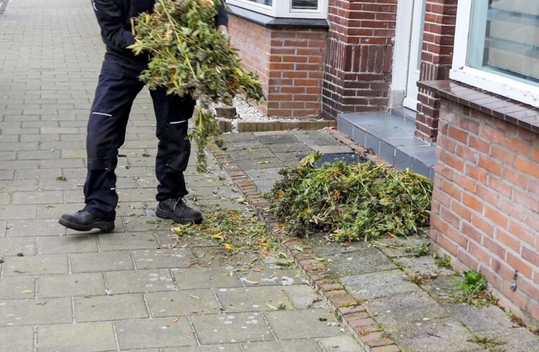 Politie ontmantelt hennepkwekerij in woning B.W. ter Kuilestraat Enschede