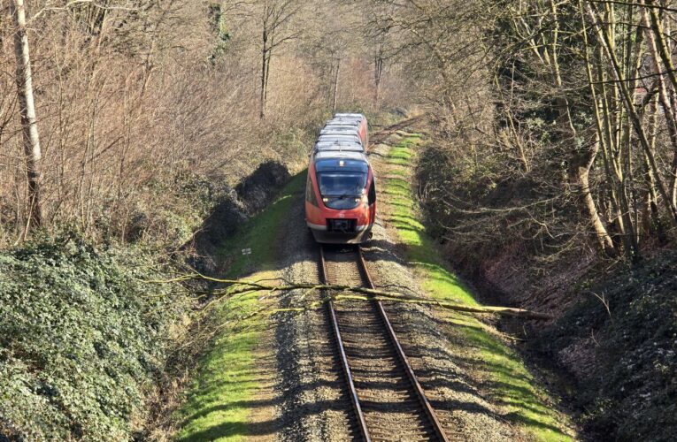 Boom op spoor bij Enschede